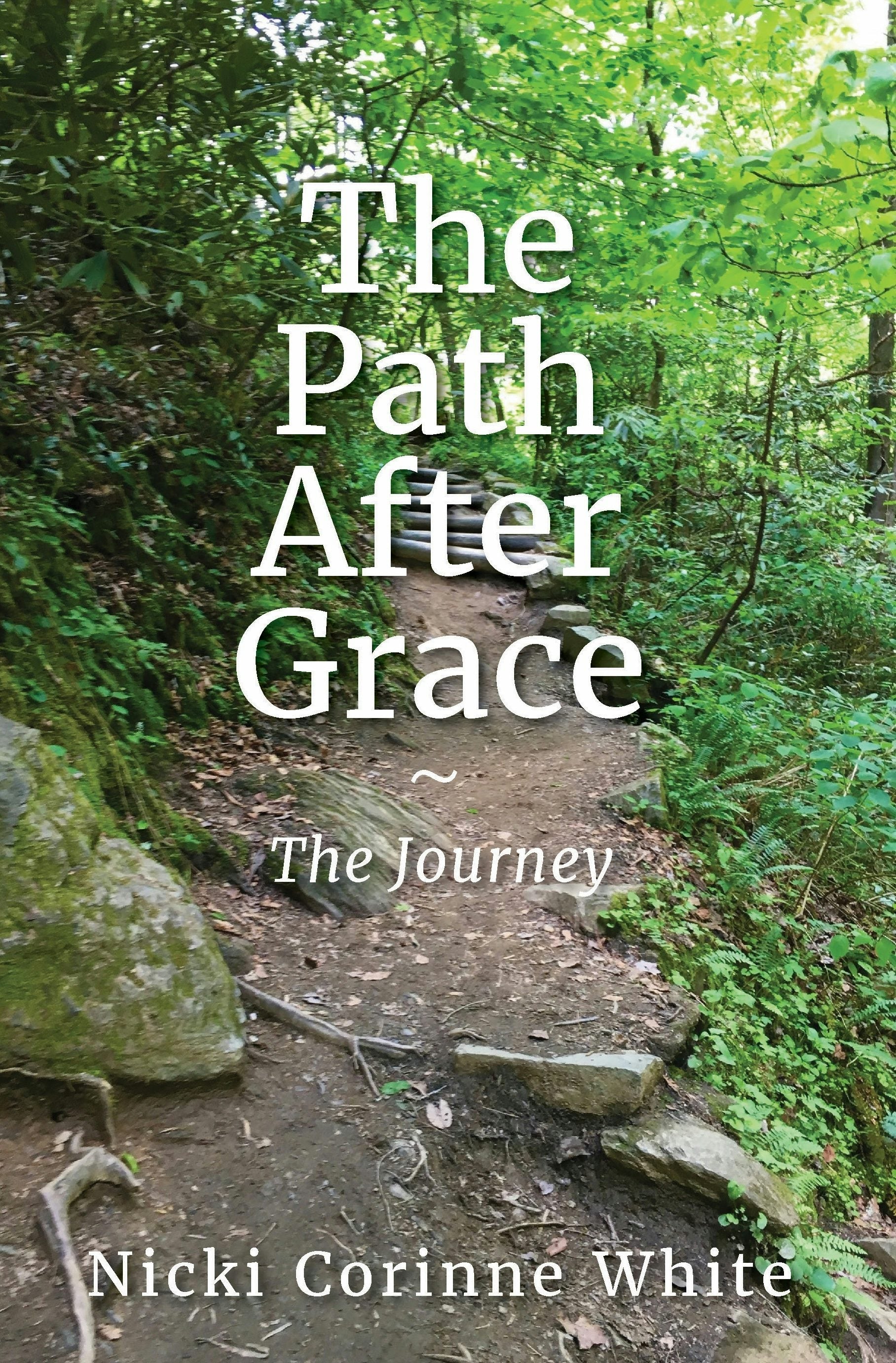 Book cover image for The Path After Grace ISBN: 9781968127060